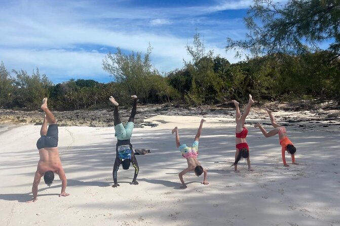 Private Rose Island, Swimming Pigs, Snorkeling and Turtles - Weather, timing, and small cautions