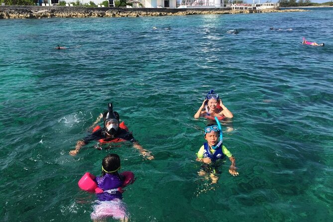 Private Rose Island, Swimming Pigs, Snorkeling and Turtles - Rose Island brings the quiet beach break