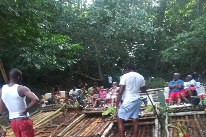 Private Sightseeing Tour in & Around Ocho Rios - Fern Gully, the scenic heart of the drive