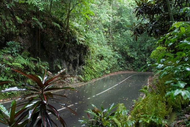 Private Sightseeing Tour in & Around Ocho Rios - What can be customized, and what is extra