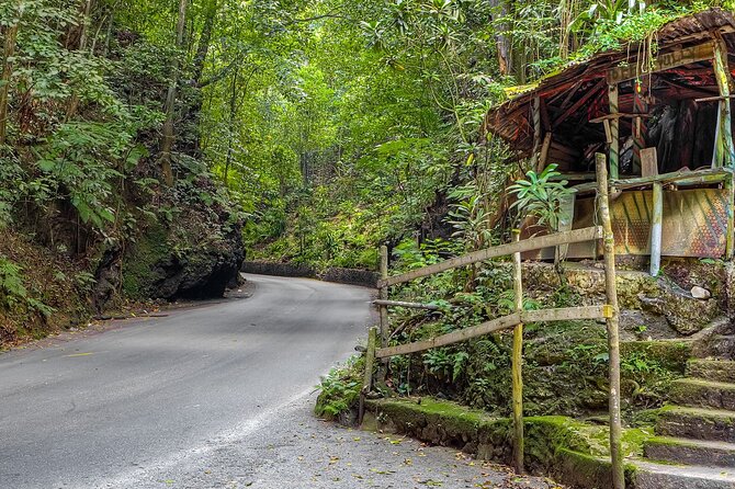 Private Sightseeing Tour in & Around Ocho Rios - Price, inclusions, and real value