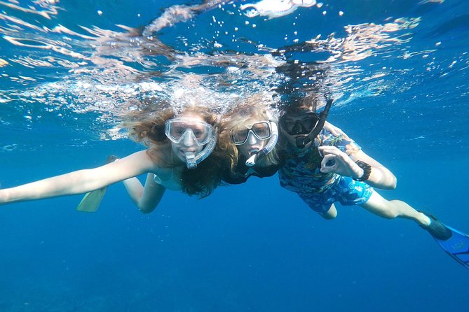 Private snorkel with 2 stops in Aruba - Eco-friendly! - The guide makes the difference for beginners