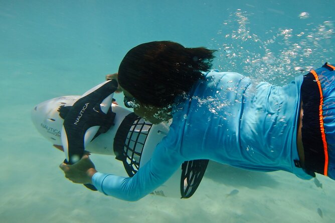 Private Snorkeling and Boat Riding Experience in Aruba - Captain Sergio and the personal touch