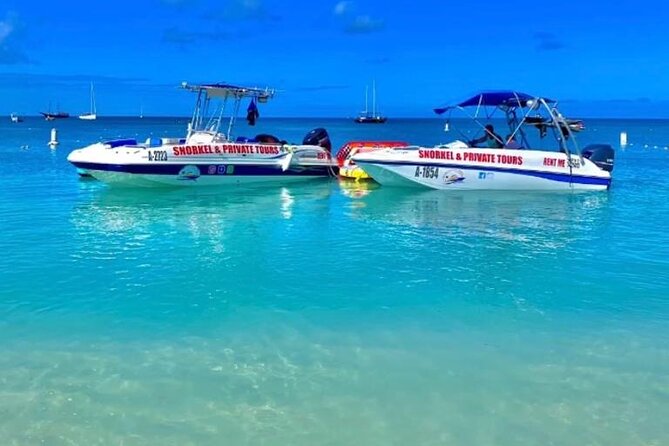 Private Snorkeling and Boat Riding Experience in Aruba - Who will enjoy this outing most