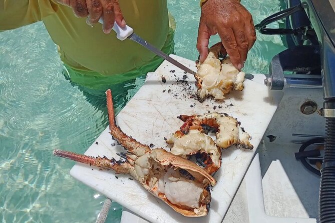 Private Snorkeling And Fishing Activity - Who will enjoy this four-hour charter?