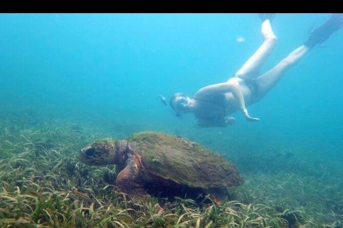 Private Snorkeling and Sightseeing Tour of Antigua - Shirley Heights delivers the big harbor view