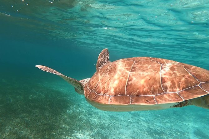 Private Snorkeling or Fishing in Nassau - 55ft Cocorijo - Gilligan’s Island and the appeal of a short island stop