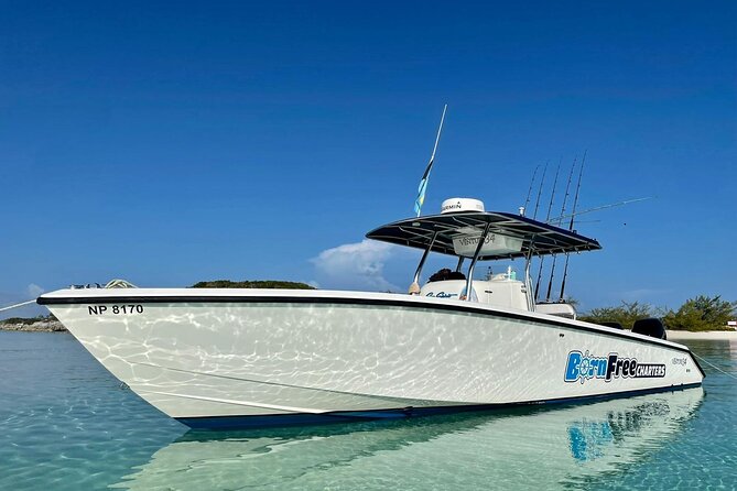 Private Speed Boat for Snorkeling or Fishing in Nassau - 34ft - A private boat gives Nassau a different rhythm