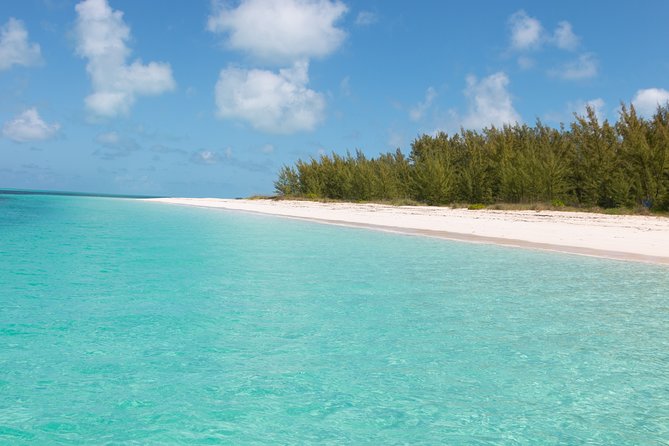 Private Speed Boat for Snorkeling or Fishing in Nassau - 34ft - Snorkeling over reefs and watching for sea life