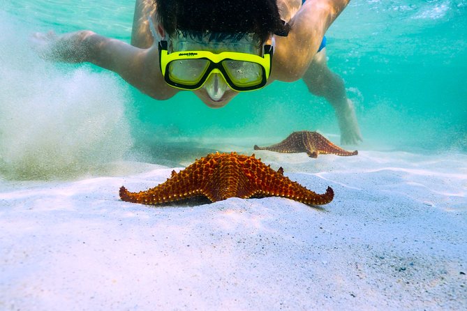 Private Stingray City and Snorkeling Half Day Charter for 6 Guest - Key points to know before booking