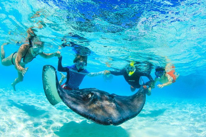 Private Stingray City and Snorkeling Half Day Charter for 6 Guest - Why a private charter changes the Stingray City experience
