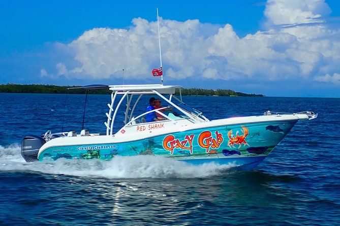 Private Stingray City and Snorkeling Half Day Charter for 6 Guest - Stingray City: the heart of the four-hour outing