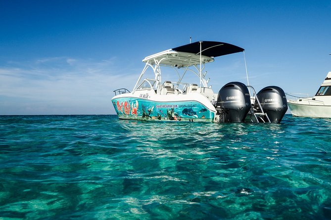 Private Stingray City and Snorkeling Half Day Charter for 6 Guest - How much value do you get for $1,100?