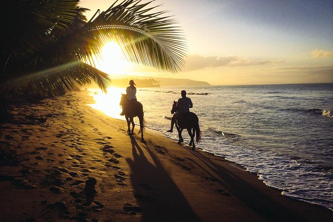 Private Sunset Horseback Riding in punta cana beach - Key points to know before booking