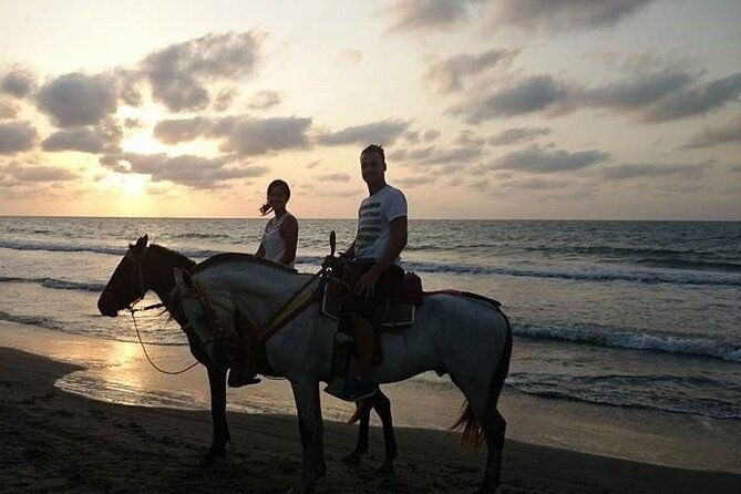 Private Sunset Horseback Riding in punta cana beach - Guides, riding comfort, and communication