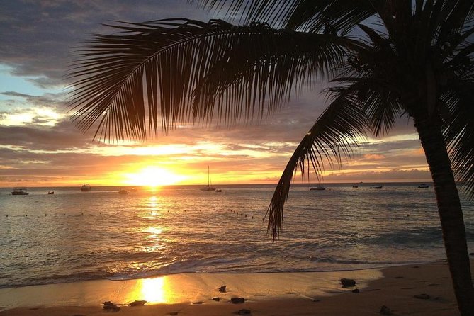 Private Sunset Horseback Riding in punta cana beach - Reaching the beach at the right moment