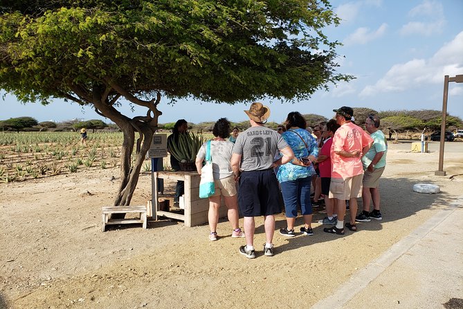 Private Tour: Essential Tour of Aruba - Natural Bridge and the power of the sea