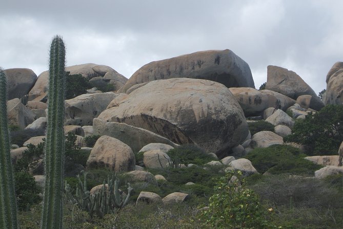 Private Tour: Essential Tour of Aruba - Aloe, island industry, and a useful shopping stop