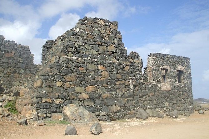 Private Tour: Essential Tour of Aruba - What the guides add to the ride