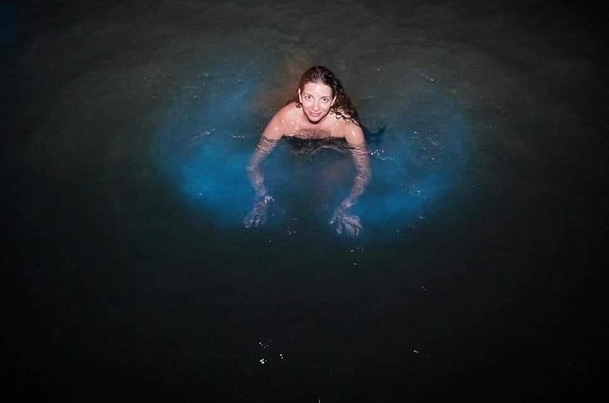 Private Tour from Ocho Rios Runaway Bay to the Luminous Lagoon - The value of having Winston or another local driver