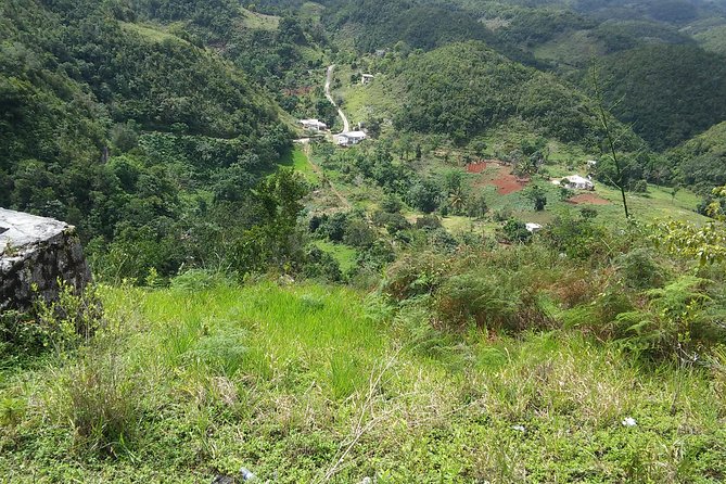 Private Tour Ocho Rios or Runaway Bay To 9 Mile Bob Marley Birth & Resting Place - How much time should you set aside?