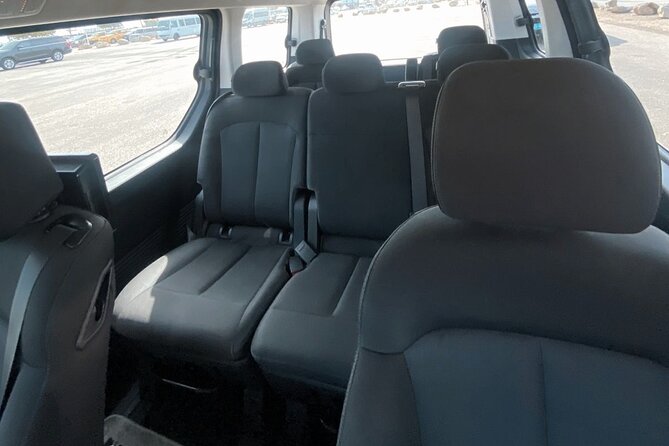 Private Transfer from Aruba Airport (AUA) - Flight delays, customs lines, and the 60-minute wait