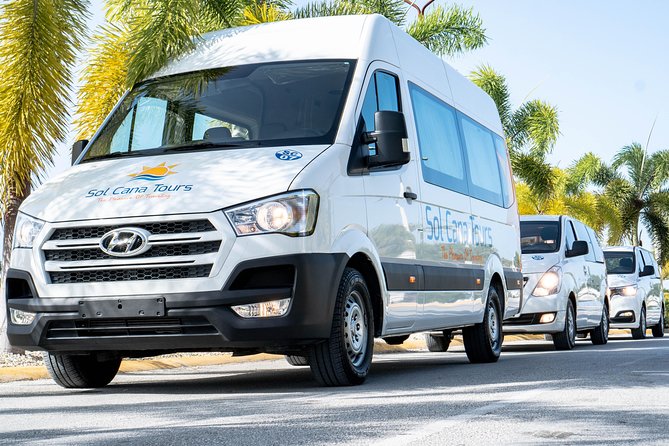 Private Transfer from Punta Cana Airport to or from Punta Cana and Bavaro Hotels - What the airport welcome is really worth