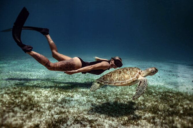 Private Turtle Spotting Snorkeling Excursion in Aruba - Who should book this experience?