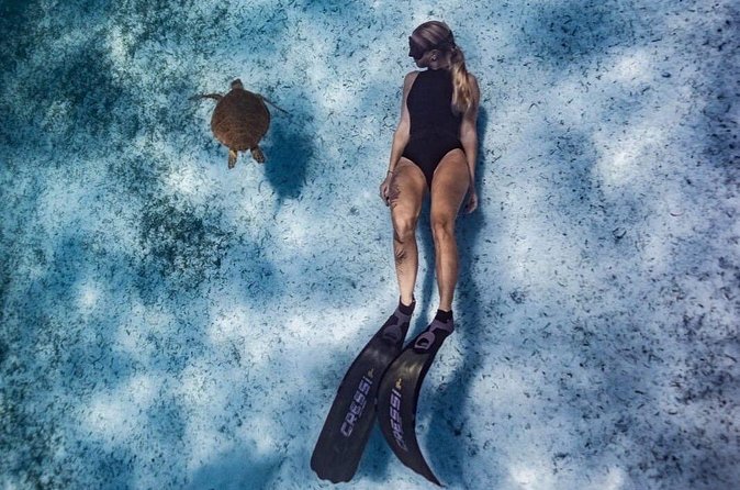 Private Turtle Spotting Snorkeling Excursion in Aruba - Weather, cancellations, and backup plans