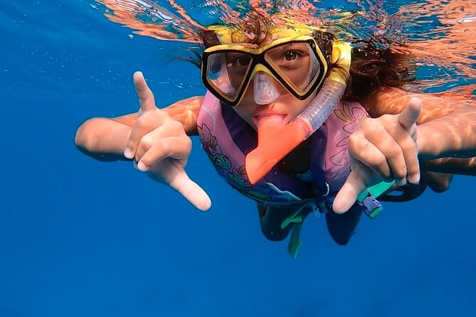 Private Turtle Spotting Snorkeling Excursion in Aruba - Should you book this turtle snorkel?