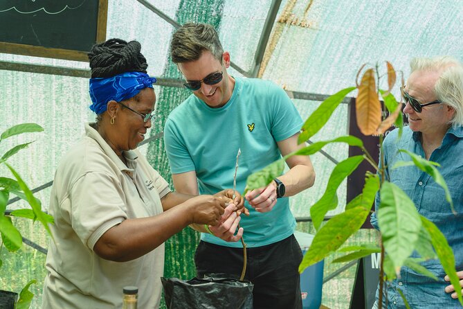 Project Chocolat Tree to Bar Tour at Hotel Chocolat Saint Lucia - Views, gardens, and the setting around Soufrière