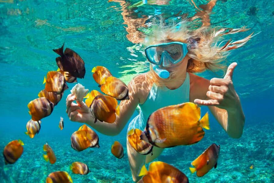 Puerto Plata: Catamaran Snorkeling Trip w/ Buffet & Open Bar - Key points to know before sailing