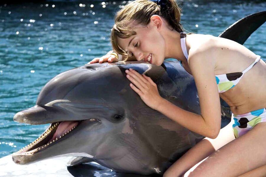 Puerto Plata: Dolphin Encounter at Ocean World - Meeting a dolphin in waist-deep water