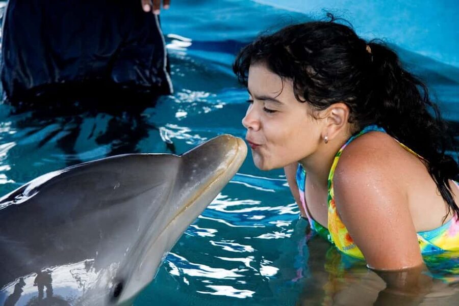 Puerto Plata: Dolphin Encounter at Ocean World - What Tropical Reef snorkeling is really like