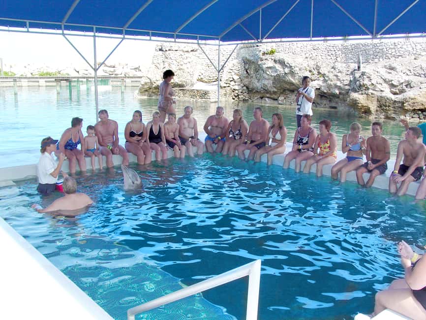 Puerto Plata: Dolphin Encounter at Ocean World - Lunch, transportation, and the value of $129