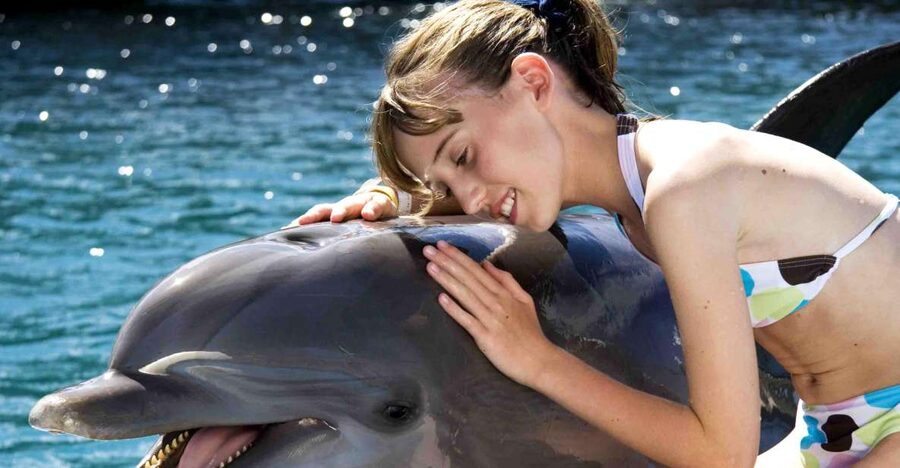 Puerto Plata: Dolphin Encounter at Ocean World - How the day may feel in practice