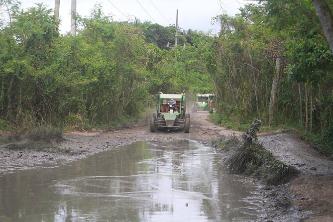 Puerto Plata Dune Buggy Adventure - Amber cove & Taino Bay - Family Suitability and Physical Demands
