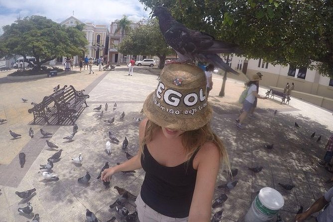 Puerto Plata Highlights and Resort Beach - Amber Cove & Taino Bay - Two hours at Playa Dorada