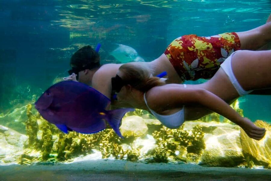 Puerto Plata: Ocean World Adventure Park Day Pass - What a $79 Day at Ocean World Includes