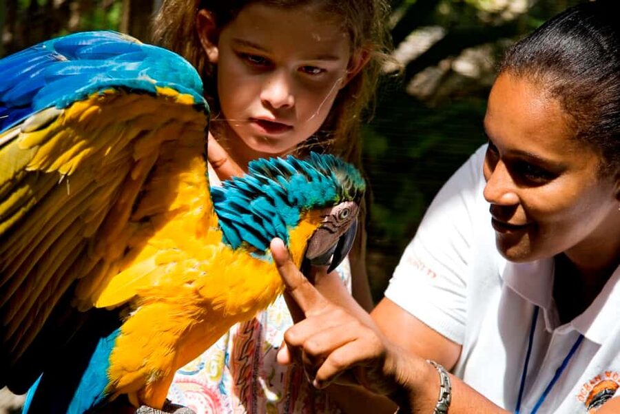 Puerto Plata: Ocean World Adventure Park Day Pass - Lunch, Drinks and the Day’s Rhythm