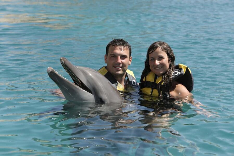Puerto Plata Ocean World Dolphin Swim - What the Orientation Adds