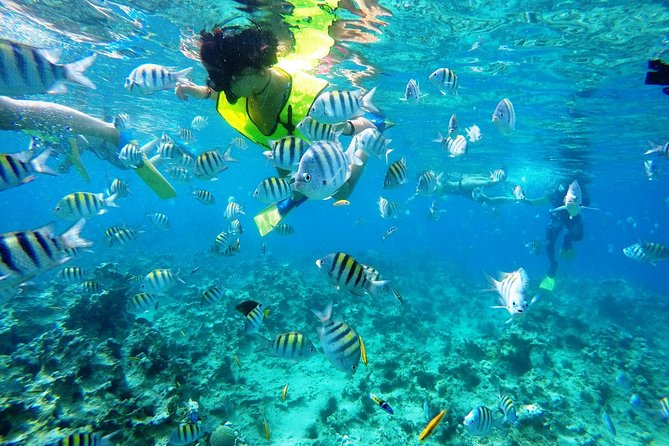 Puerto Plata Shore Excursion, Snorkeling tour & Sosua Beach Day - Two reefs and one long beach in a half-day