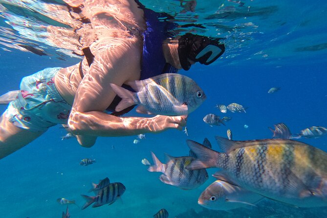 Puerto Plata Shore Excursion, Snorkeling tour & Sosua Beach Day - Snorkeling the first reef