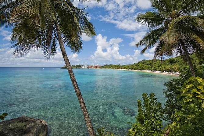 Puerto Plata Shore Excursion, Snorkeling tour & Sosua Beach Day - The second reef and changing water conditions