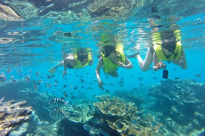 Puerto Plata Shore Excursion, Snorkeling tour & Sosua Beach Day - What the $65.55 price gets you