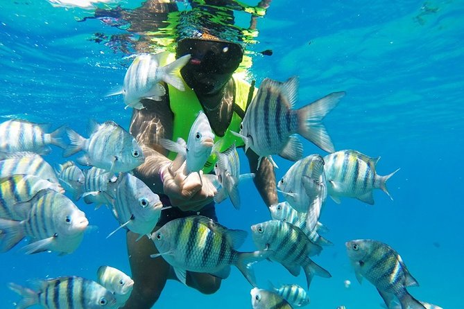 Puerto Plata Shore Excursion, Snorkeling tour & Sosua Beach Day - Getting from Amber Cove or Taino Bay to Sosua