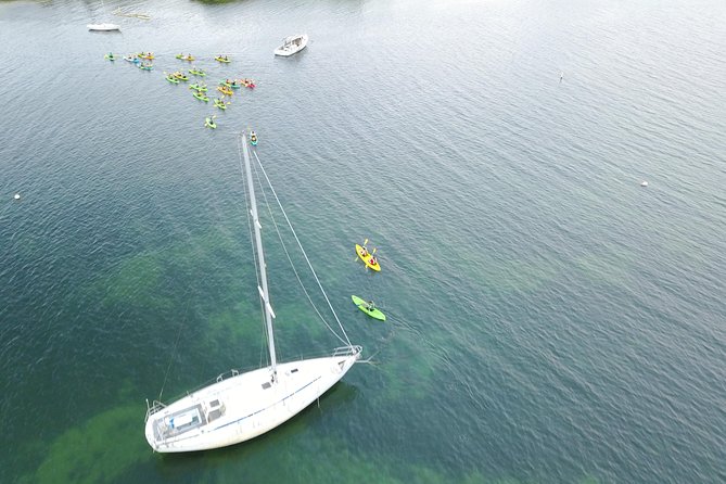 Puerto Rico Bio Bay Kayak Adventure Tour - Moonlight, weather, and realistic expectations