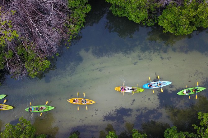Puerto Rico Bio Bay Kayak Adventure Tour - How good is the $65 value?
