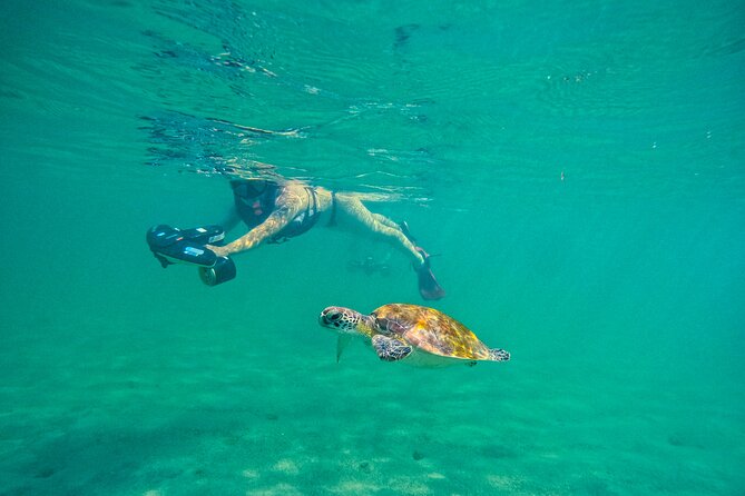 Puerto Rico Jet Snorkel with Turtles and Videos in San Juan - Starting at Escambron Beach