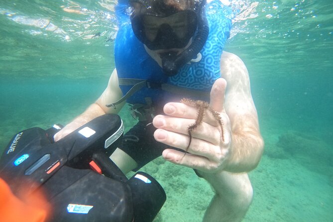 Puerto Rico Jet Snorkel with Turtles and Videos in San Juan - What the underwater scenery can include